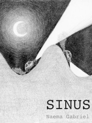 cover image of SINUS